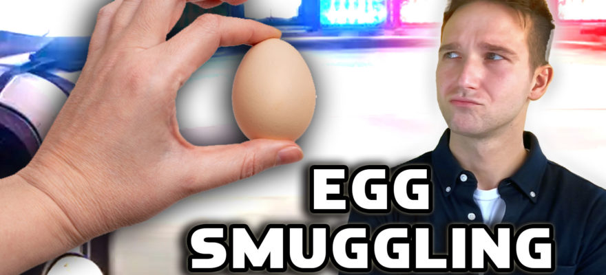 Americans Smuggle Eggs from Mexico Amid Soaring Prices due to Bird Flu and Rising Costs